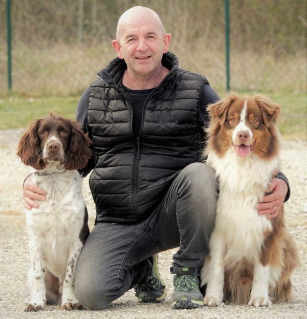 Chien détecteur de punaises de lit : découvrez les tarifs pratiques